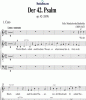 Noten