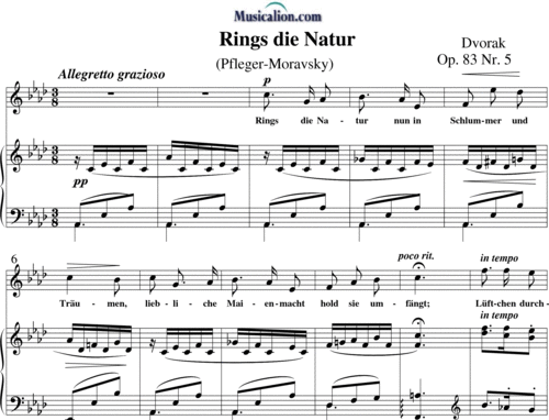 Noten