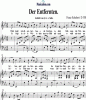 Noten