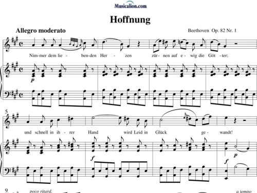 Noten
