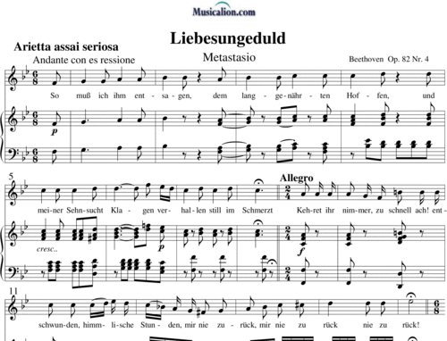 Noten