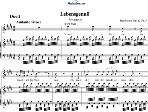 Noten