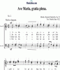 Noten