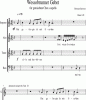 Noten