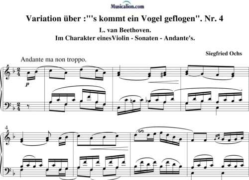 Noten