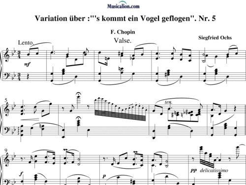 Noten