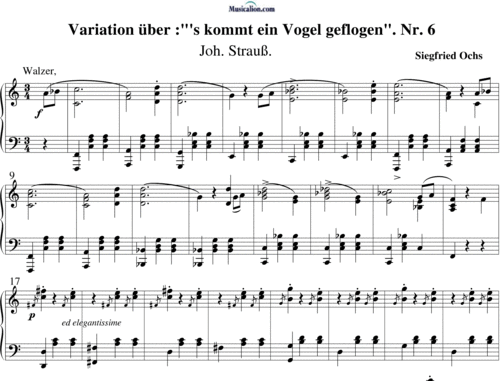 Noten