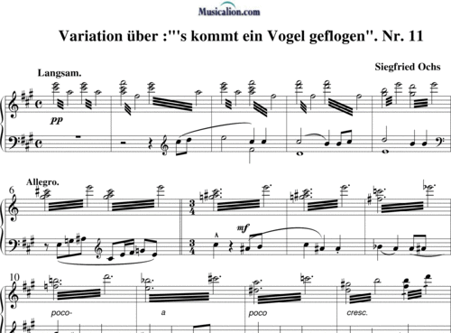 Noten