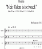 Noten