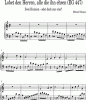 Noten