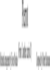 Schumann, Robert: Pierrot - Oboe+[Fl+KlarB+Fg]+[HnF2+TrpB]+Pk+[Vl2+Vla+Vc+Kb]-0