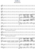 Smetana, Bedrich (Friedrich): Die Moldau Bauernhochzeit - Flöte 2+[Ob2+Klar2+Fg2]+Hn4+[Vl2+Vc+Kb]-0