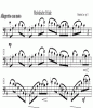 Noten