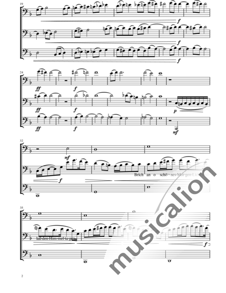 Pfeifer, Georg: Trio für Fagott oder Violoncello - Fagott C 3:2