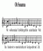 Noten
