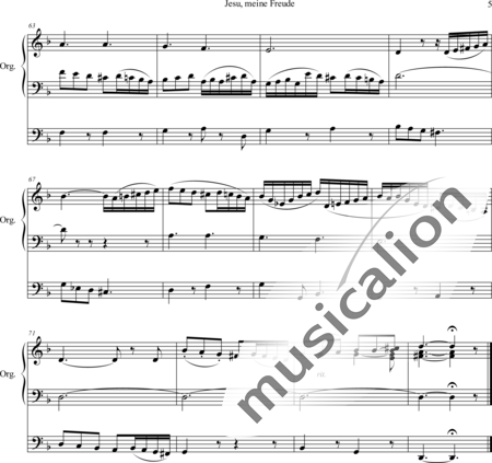 Richter, Ernst Friedrich Eduard: Choralbearbeitung Jesu, meine Freude - Orgel>mPed:5
