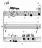 Notes