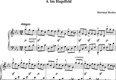Hecker, Hartmut: Im Hagelfeld - Klavier:0
