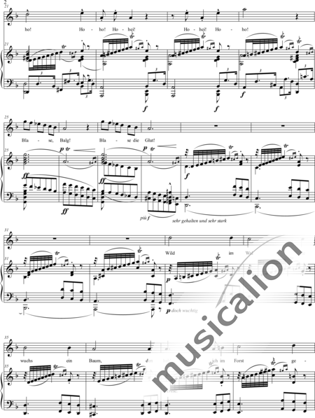 Wagner, Richard: Nothung! Nothung! - Solo>Ten:2