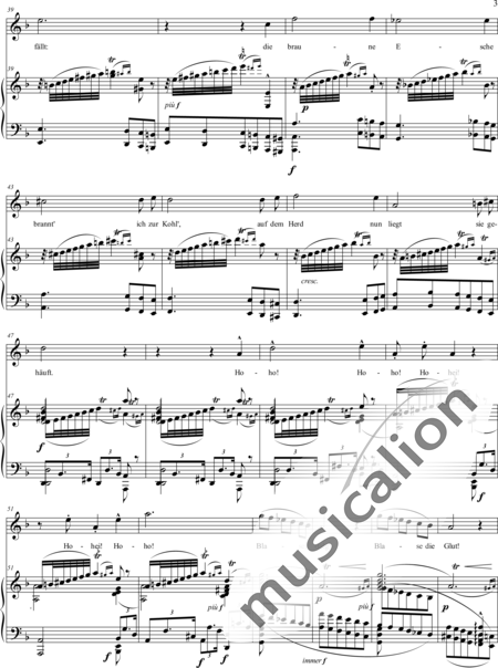 Wagner, Richard: Nothung! Nothung! - Solo>Ten:3