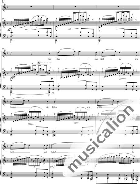 Wagner, Richard: Nothung! Nothung! - Solo>Ten:4