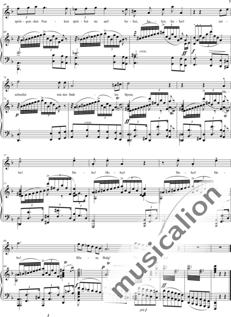 Wagner, Richard: Nothung! Nothung! - Solo>Ten:5