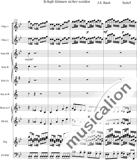 Bach, Johann Sebastian: Schafe können sicher weiden - Solo>sop+[Fl2+Ob+ClB2+Bn]+HnF+Org+Db:5