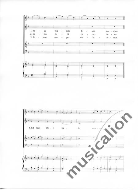 Mayrhofer, Christian: Ave maris stella - Solo>Sop+Chor>SATB+OrgmP:3