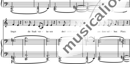 Schubert, Franz (Peter): El doble - Solo>alto+Piano:1