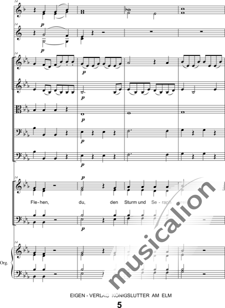 Schönfelder, F. E.: Whitsun Cantata First Movement - Coro>SATB+Clar2+Trp2+Org+[Vl2+Vla+Vc+Cb]:5