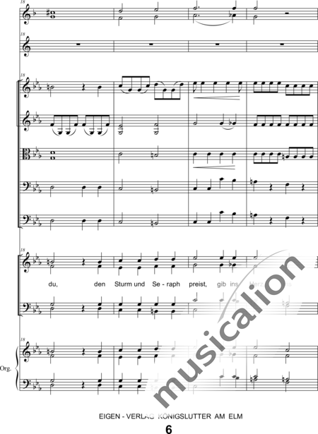 Schönfelder, F. E.: Whitsun Cantata First Movement - Coro>SATB+Clar2+Trp2+Org+[Vl2+Vla+Vc+Cb]:6