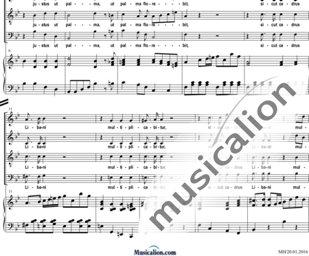 Est (Stocker), L. B. (Stephan): Justus ut palma (Offertorium, 4-stg.) - Chor>SATB+Orgel:1