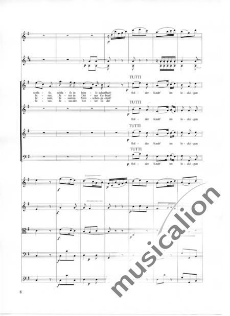 Führer, Robert: Weihnachts-Lied (Stille Nacht)-Christmas Song-Silent Night - Solo>sop+Choir>SATB+Fl+HnF2+[Vln2+Vla+Vlc+Db]:8