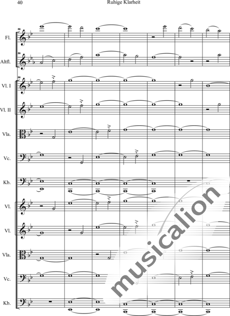 Swienty, Claus: Ruhige Klarheit, Teil II - Flute 2+[Vln4+Vla2+Vlc2+Db2]:41