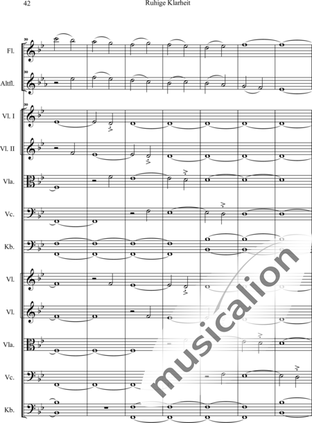 Swienty, Claus: Ruhige Klarheit, Teil II - Flute 2+[Vln4+Vla2+Vlc2+Db2]:43
