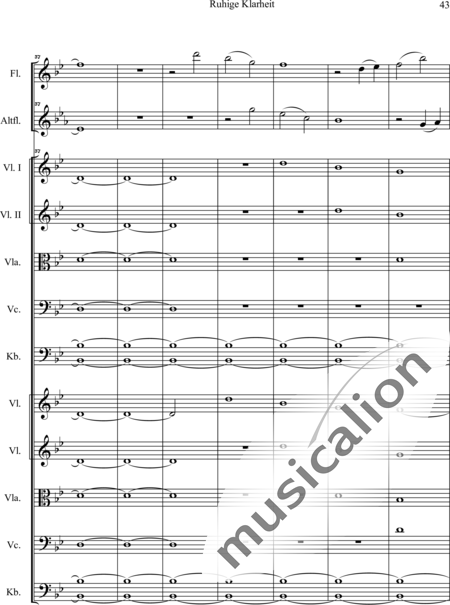 Swienty, Claus: Ruhige Klarheit, Teil II - Flute 2+[Vln4+Vla2+Vlc2+Db2]:44