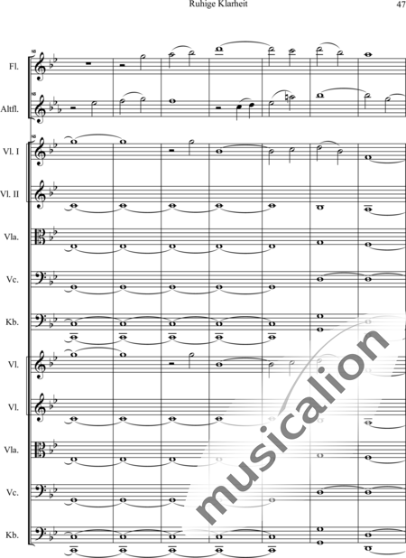 Swienty, Claus: Ruhige Klarheit, Teil II - Flute 2+[Vln4+Vla2+Vlc2+Db2]:48