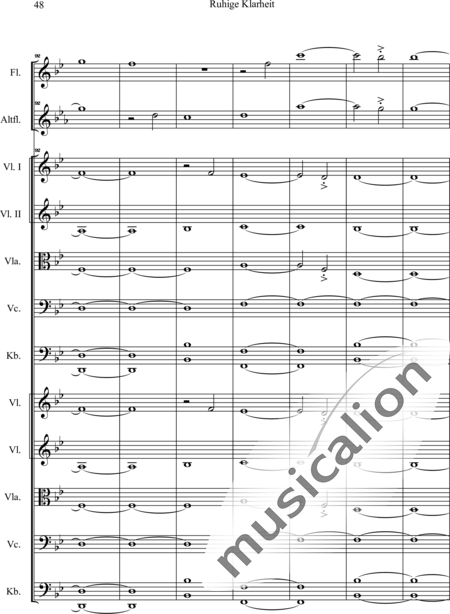 Swienty, Claus: Ruhige Klarheit, Teil II - Flute 2+[Vln4+Vla2+Vlc2+Db2]:49