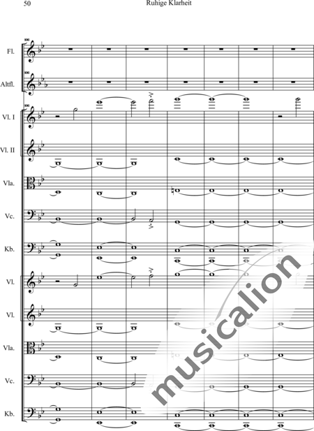 Swienty, Claus: Ruhige Klarheit, Teil II - Flute 2+[Vln4+Vla2+Vlc2+Db2]:51