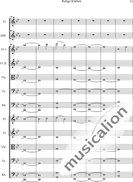 Swienty, Claus: Ruhige Klarheit, Teil II - Flute 2+[Vln4+Vla2+Vlc2+Db2]:52