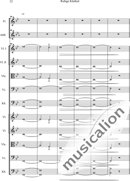 Swienty, Claus: Ruhige Klarheit, Teil II - Flute 2+[Vln4+Vla2+Vlc2+Db2]:53