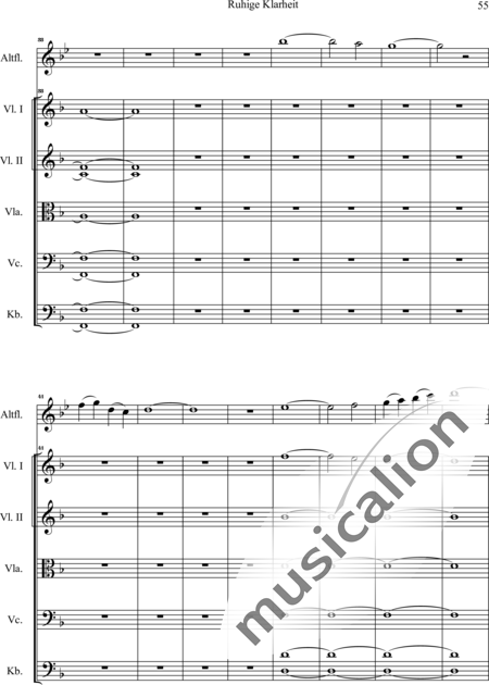 Swienty, Claus: Ruhige Klarheit, Teil II - Flute 2+[Vln4+Vla2+Vlc2+Db2]:56