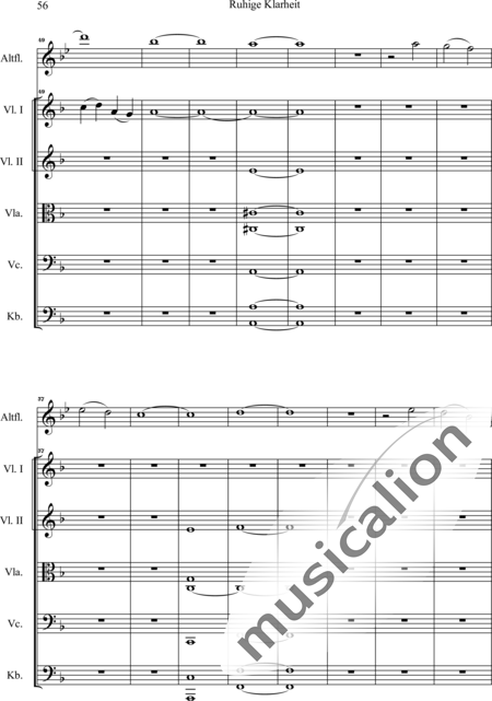 Swienty, Claus: Ruhige Klarheit, Teil II - Flute 2+[Vln4+Vla2+Vlc2+Db2]:57