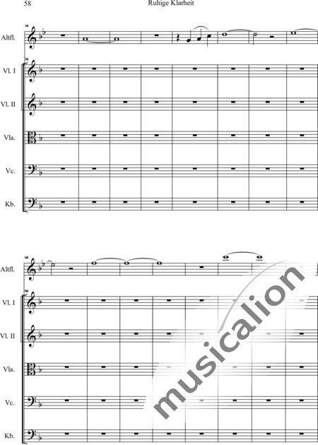 Swienty, Claus: Ruhige Klarheit, Teil II - Flute 2+[Vln4+Vla2+Vlc2+Db2]:59
