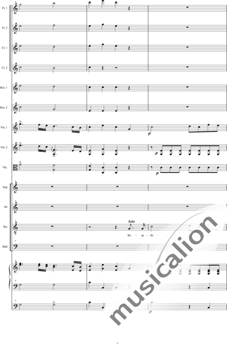 Bühler, Franz
: Missa: Benedictus - Solo>Ten+Coro>SATB+[Fl2+Clar2]+Cr2+OrgcP+[Vl2+Vla]:2