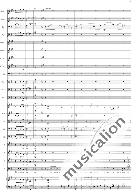 Brosig, Moritz: Fest-Messe: Credo - Solo>Ten/Bass+Chor>SATB+[KlarB2+Fg2]+[HnF2+Pos3+TrpB2]+Pk+Org+[Vl2+Vla+Vc+Kb]:5