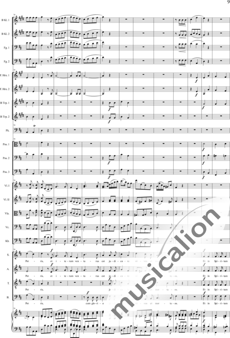 Brosig, Moritz: Fest-Messe: Credo - Solo>Ten/Bass+Chor>SATB+[KlarB2+Fg2]+[HnF2+Pos3+TrpB2]+Pk+Org+[Vl2+Vla+Vc+Kb]:9