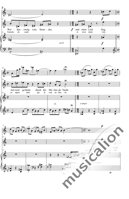Wocke, Erich: Die geheimnisvolle Flöte (The Mysterious Flute) - Solo>ten+Fl+Pf:2