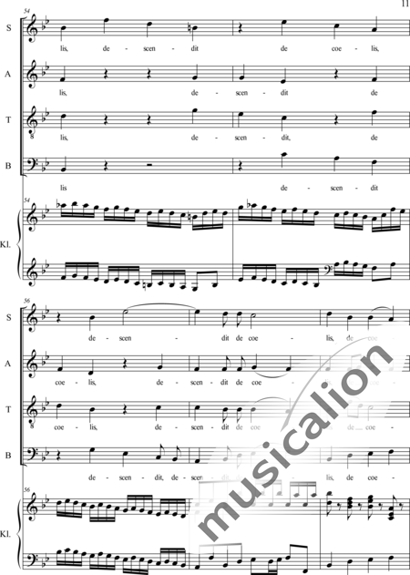 Haydn, (Franz) Joseph: Credo - Chor>SATB+Orgel:11