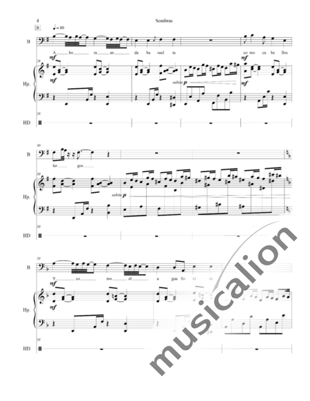 Monroy Bustos, Milton Javier: Carl Orff Competition 2018: Schatten - Solo>Bass+Px+Hf:4